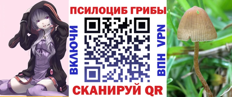 Галлюциногенные грибы ЛСД  Купить закладки  Буйнакск 